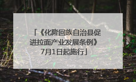 《化隆回族自治县促进拉面产业发展条例》7月1日起施行