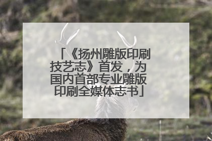 《扬州雕版印刷技艺志》首发，为国内首部专业雕版印刷全媒体志书