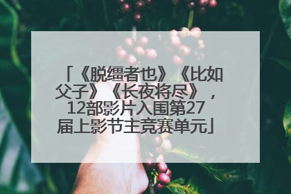 《脱缰者也》《比如父子》《长夜将尽》，12部影片入围第27届上影节主竞赛单元