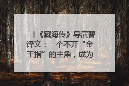 《藏海传》导演曹译文：一个不开“金手指”的主角，成为苍生守护者