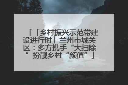 「乡村振兴示范带建设进行时」兰州市城关区：多方携手“大扫除”扮靓乡村“颜值”