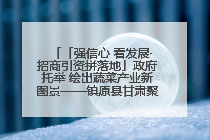 「强信心 看发展·招商引资拼落地」政府托举 绘出蔬菜产业新图景——镇原县甘肃聚广利现代设施蔬菜种植基地见闻
