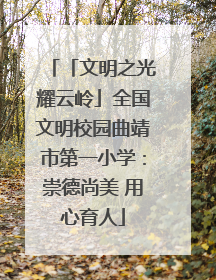 「文明之光耀云岭」全国文明校园曲靖市第一小学：崇德尚美 用心育人