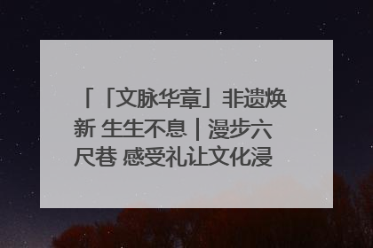 「文脉华章」非遗焕新 生生不息｜漫步六尺巷 感受礼让文化浸润的“巷”往生活