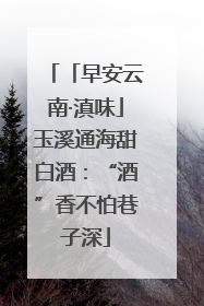 「早安云南·滇味」玉溪通海甜白酒：“酒”香不怕巷子深