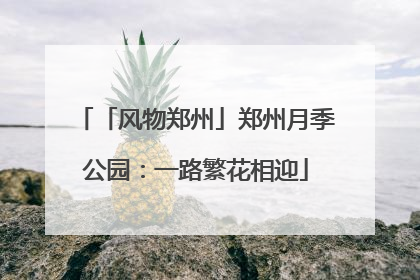「风物郑州」郑州月季公园：一路繁花相迎