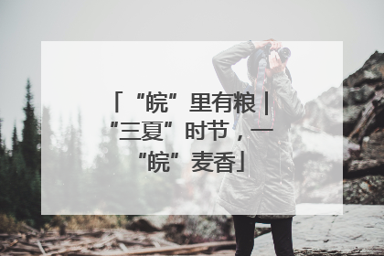 “皖”里有粮｜“三夏”时节，一“皖”麦香