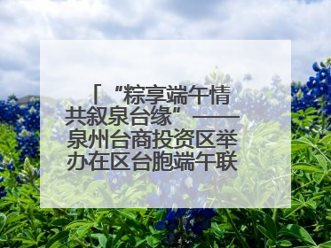 “粽享端午情 共叙泉台缘”——泉州台商投资区举办在区台胞端午联谊活动，共话同源深情