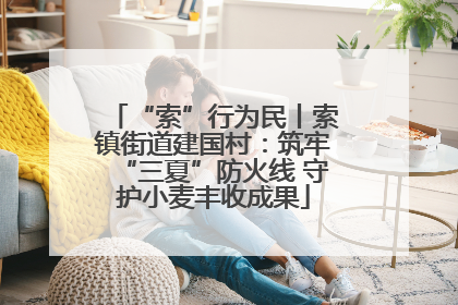 “索”行为民丨索镇街道建国村：筑牢“三夏”防火线 守护小麦丰收成果