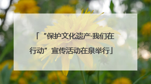“保护文化遗产·我们在行动”宣传活动在泉举行