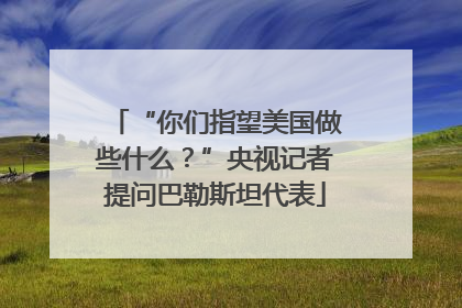 “你们指望美国做些什么？”央视记者提问巴勒斯坦代表