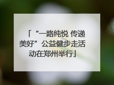 “一路纯悦 传递美好”公益健步走活动在郑州举行