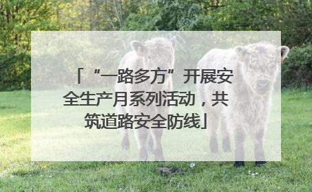 “一路多方”开展安全生产月系列活动，共筑道路安全防线