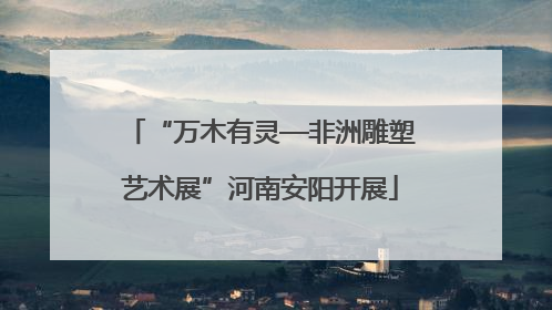 “万木有灵—非洲雕塑艺术展”河南安阳开展