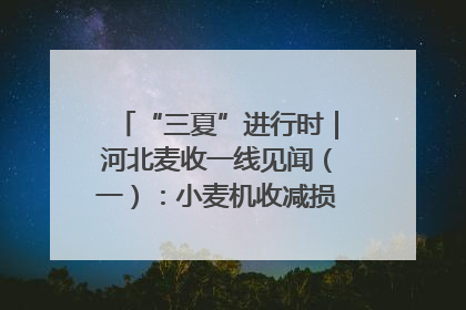“三夏”进行时｜河北麦收一线见闻（一）：小麦机收减损“竞技” 农机高手麦田“过招”