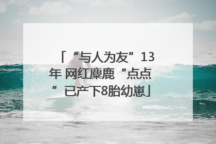 “与人为友”13年 网红麋鹿“点点”已产下8胎幼崽