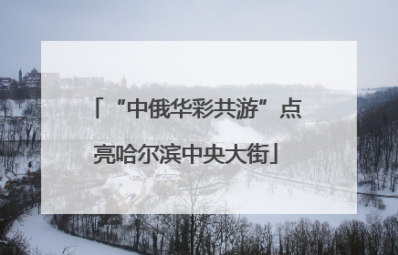 “中俄华彩共游”点亮哈尔滨中央大街