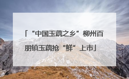 “中国玉藕之乡”柳州百朋镇玉藕抢“鲜”上市
