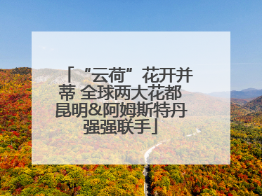 “云荷”花开并蒂 全球两大花都昆明&阿姆斯特丹强强联手