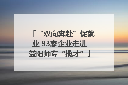 “双向奔赴”促就业 93家企业走进益阳师专“揽才”