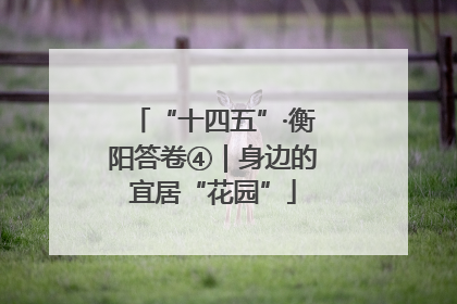 “十四五”·衡阳答卷④｜身边的宜居“花园”