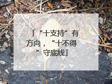 “十支持”有方向，“十不得”守底线