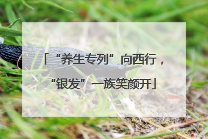 “养生专列”向西行，“银发”一族笑颜开