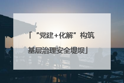 “党建+化解”构筑基层治理安全堤坝