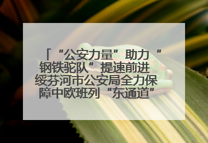 “公安力量”助力“钢铁驼队”提速前进 绥芬河市公安局全力保障中欧班列“东通道”绥芬河隧道贯通