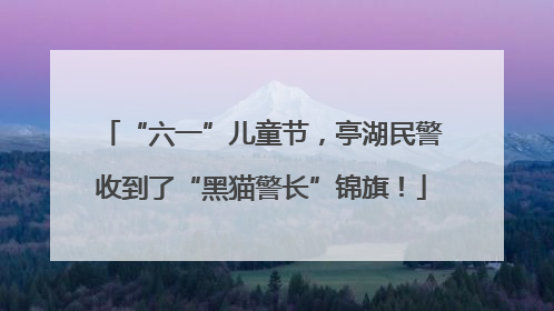 “六一”儿童节，亭湖民警收到了“黑猫警长”锦旗！