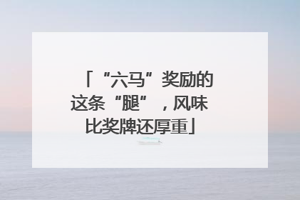 “六马”奖励的这条“腿”，风味比奖牌还厚重