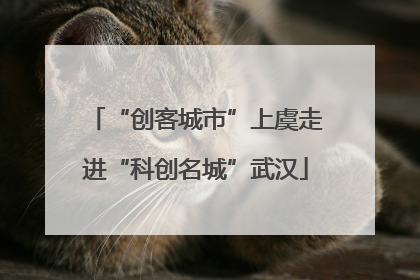 “创客城市”上虞走进“科创名城”武汉