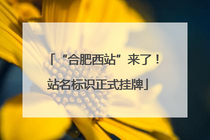“合肥西站”来了！站名标识正式挂牌