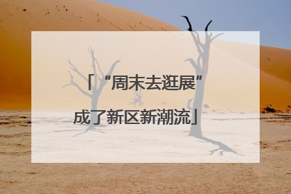“周末去逛展”成了新区新潮流