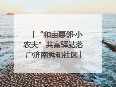 “和亩惠邻·小农夫”共富驿站落户济南秀和社区