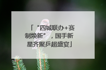 “四城联办+赛制焕新”，国手新星齐聚乒超盛宴