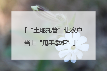 “土地托管”让农户当上“甩手掌柜”