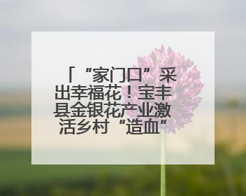 “家门口”采出幸福花！宝丰县金银花产业激活乡村“造血”功能