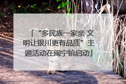 “多民族一家亲 文明让银川更有品质”主题活动在闽宁镇启动