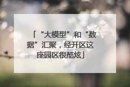 “大模型”和“数据”汇聚，经开区这座园区很酷炫
