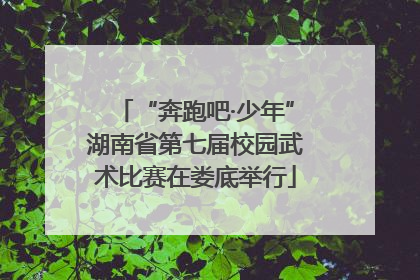 “奔跑吧·少年”湖南省第七届校园武术比赛在娄底举行