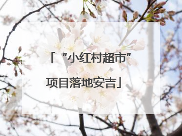 “小红村超市”项目落地安吉