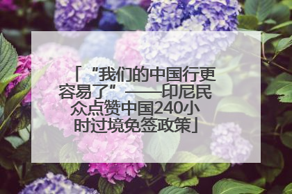 “我们的中国行更容易了”——印尼民众点赞中国240小时过境免签政策
