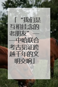 “我们是互相挂念的老朋友”——中哈联合考古见证跨越千年的文明交响