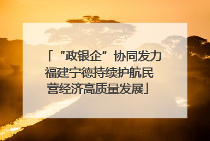 “政银企”协同发力 福建宁德持续护航民营经济高质量发展