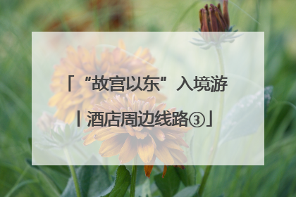 “故宫以东”入境游丨酒店周边线路③