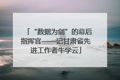 “数据为剑”的幕后指挥官——记甘肃省先进工作者牛学云