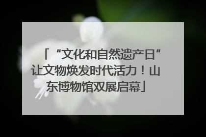 “文化和自然遗产日”让文物焕发时代活力！山东博物馆双展启幕