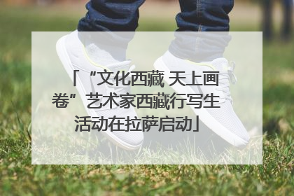 “文化西藏 天上画卷”艺术家西藏行写生活动在拉萨启动