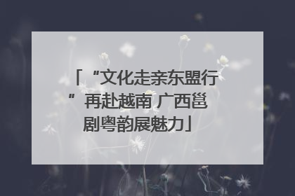 “文化走亲东盟行”再赴越南 广西邕剧粤韵展魅力